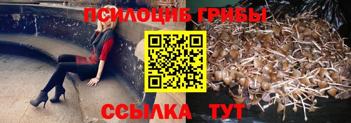 Галлюциногенные грибы ЛСД  Вход с VPN  Бердск 